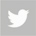 Twitter Link